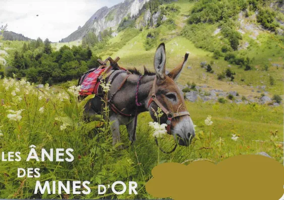 Randonnées avec des ânes avec Cathy à Morzine et au Lac des Mines d'Or